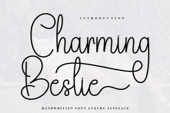 Charming Bestie: A Handwritten Font for Editorial Design