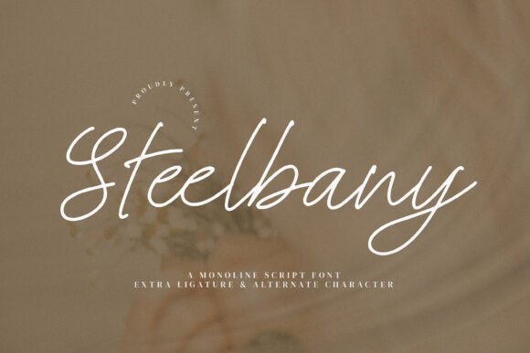 Steelbany: The Elegant Script Font for Branding
